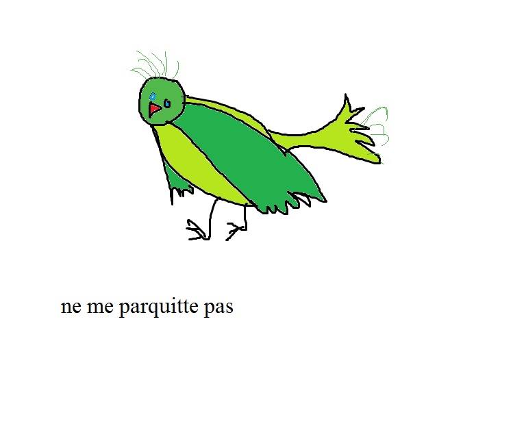 parkiet